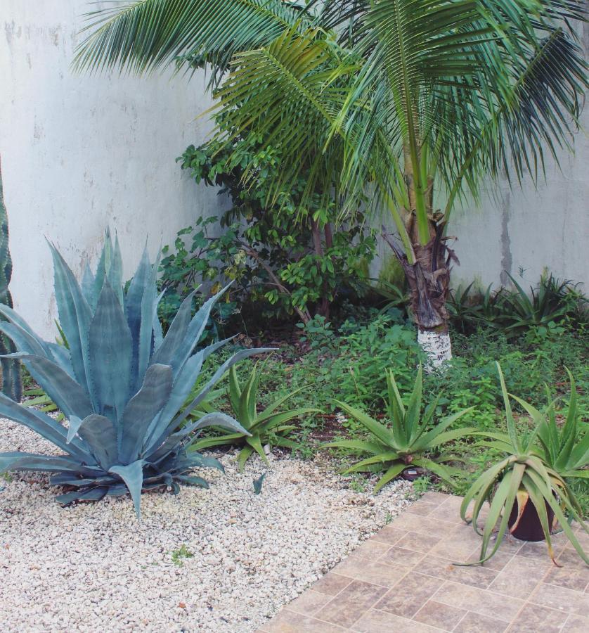 Rooms In Cancun Airport Exterior foto